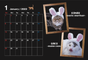 2023カレンダー